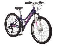 Schwinn Ranger 24" Kids' Mountain Bike - Purple