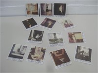 Thirteen 4"x 4.25" Taylor Swift Album Polaroid's