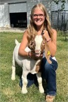 Madison Clark - Goat