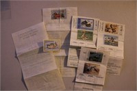 Assortment of Duck Stamps on Permits