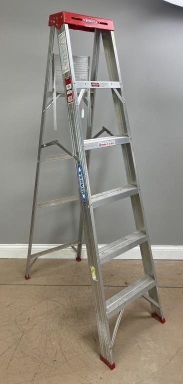 Werner 6 Foot Metal Ladder