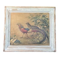 Vintage framed Conrad Roland golden pheasant print