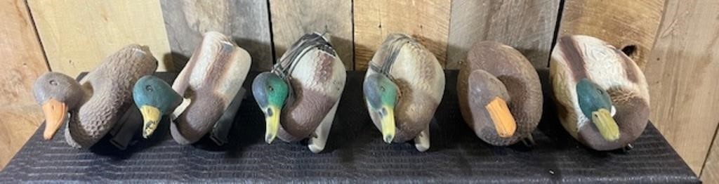 MALLARD DECOYS