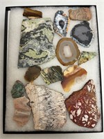 Display Box 12" x 16" with Mineral Slices