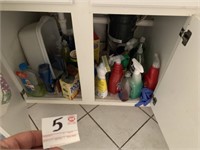 Cleaning Supplies Under Sink