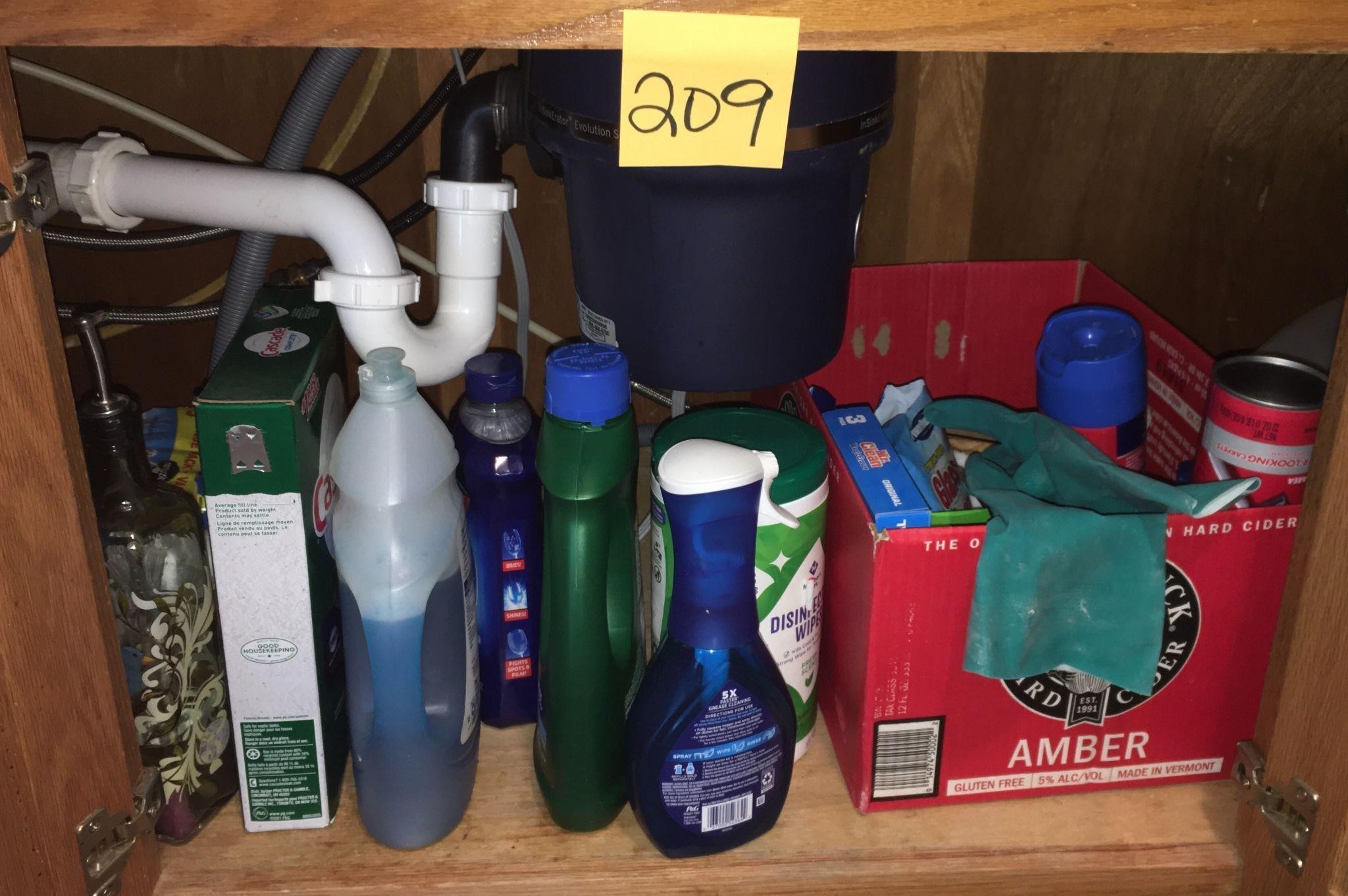 Cleaning Supplies under Sink