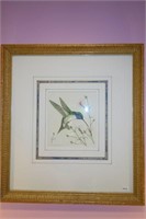 PRINT - HUMMINGBIRD BY R.L. SIMMONS 13 1/2" X 15"
