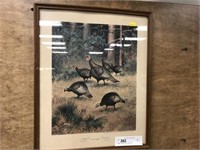 Wild Turkey Print- Lynn Hunt