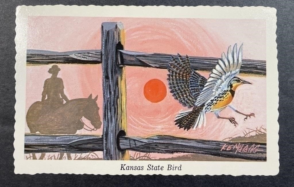 Vintage Kansas State Bird Postcard 1968