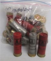 (25) 12 Gauge assorted shotgun shells.