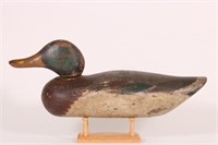 Mallard Drake Duck Decoy by Dodge/Mason, Possible