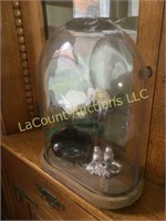 Oval domed glass display with Orchid & birds