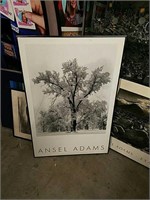 Ansel Adams photograph print of a tree