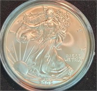 2005 US 1oz Fine Silver American Eagle
