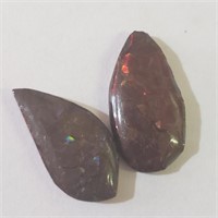 $200 Canadian Ammolite