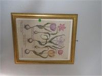 FLORAL PICTURE FRAMED