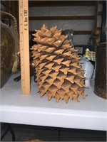 HUGE solid pine cone Coulter ?