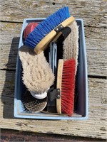 HORSE BODY, MANE BRUSHES, HOOF PICK, MISC