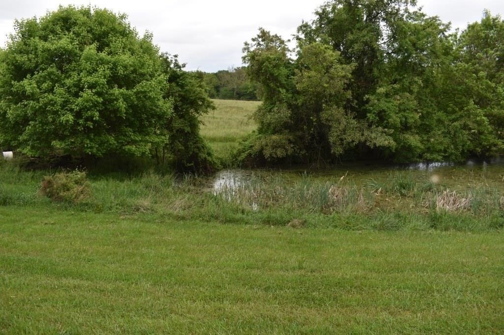 Pond and surrounding area
