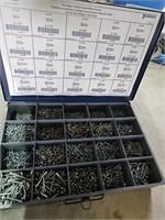 Metal organizer with screws