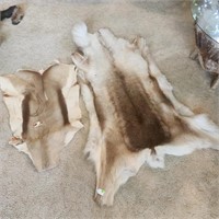 Two Animal Hides