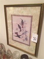 Hummingbird Print