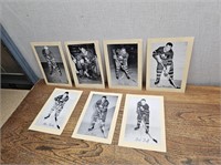 Vintage BEE Hive Photo's Hockey