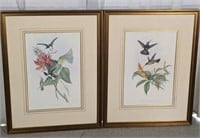 (2) J. Gould & H.C. Richter Hummingbird Framed Art