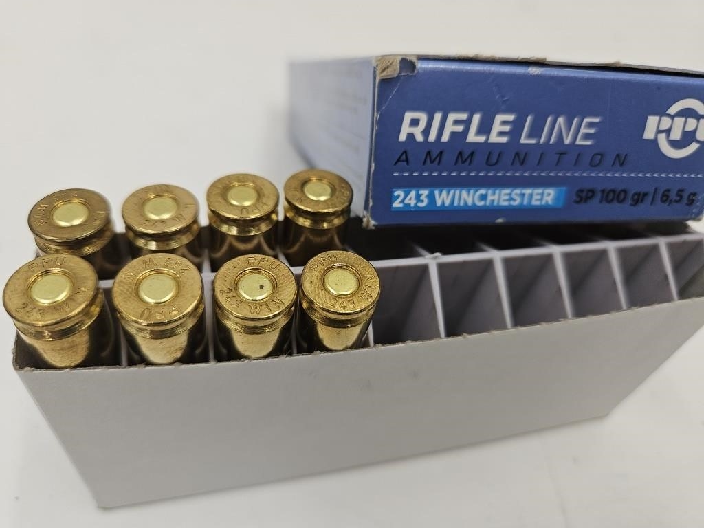 243 Winchester 8 RDS Gun Ammo