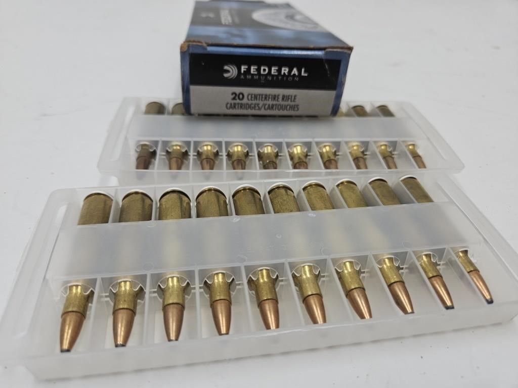 22-250 REM 20RDS Gun Ammo