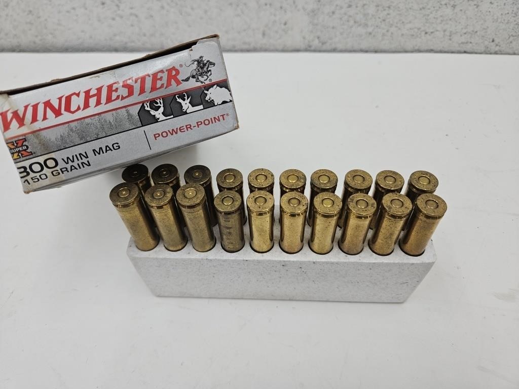 300 WIN MAG 14 RDS Gun Ammo