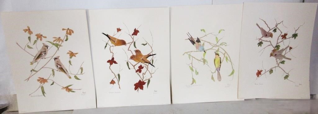 Signed Water Color Birds 19"x25"