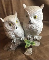 Porcelain Snow Owls by Andrea