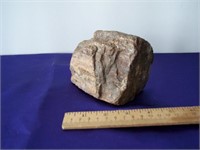 Piece of Petrified Wood