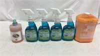Cleaning Products & Hand Soap - 8B