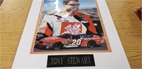 Matted Tony Stewart Picture Home Depot