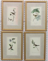 SET OF 4 ANTIQUE BIRDS BY JOHN AUDUBON