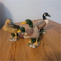 Ducks/ geese