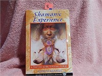 Shamanic Experience ©2003