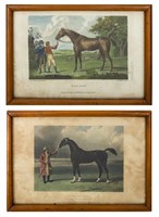 17 & 18th C. Hand-Colored Horse Engravings, 2