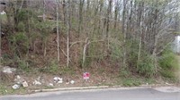 Prime 0.59-Acre in Birmingham - Assessed at $57K - Bid Now!