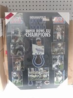 Collectible Colts Superbowl Champs Framed picture
