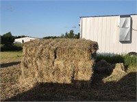 HAY SQUARE BALES QTY 32