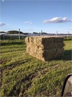 HAY SQUARE BALES LOT QTY 32