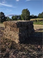 HAY SQUARE BALES QTY 32