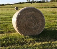 HAY ROUND BALES QTY 32 4X5