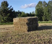 HAY SQUARE BALES QTY 32