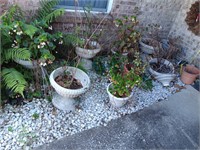 All the planters on the left side of the sidewalk