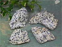 DALMATION JASPER ROCK STONE LAPIDARY SPECIMEN