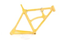 WILLIAM THOMPSON Original Plastic Bicycle Frame 73